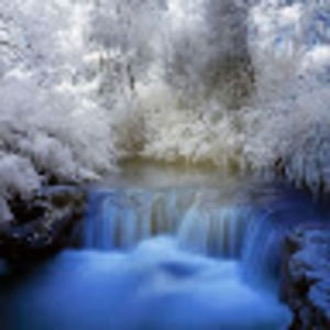 Meet your Posher, Tom